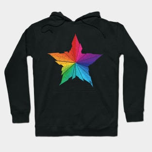 Rainbow Star Leaf Hoodie